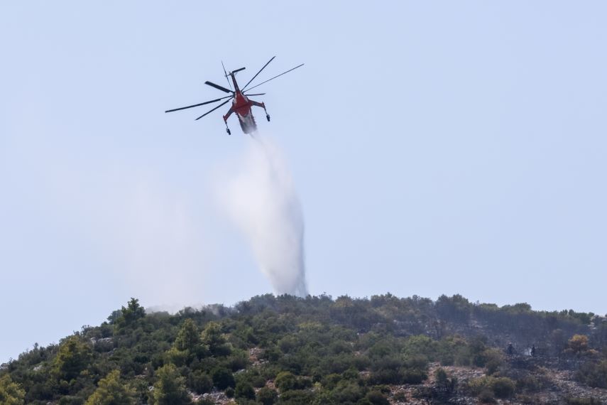 Πυρκαγιά στην Χάλκη Λάρισας Θέσεις σε Εξέλιξη για τον Έλεγχο της Φωτιάς