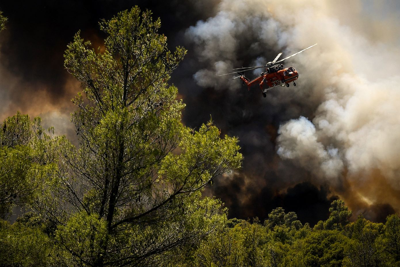 Φωτιά σε Δασική Έκταση Ξάνθης Κινητοποίηση Δυνάμεων και Προειδοποίηση προς Πολίτες