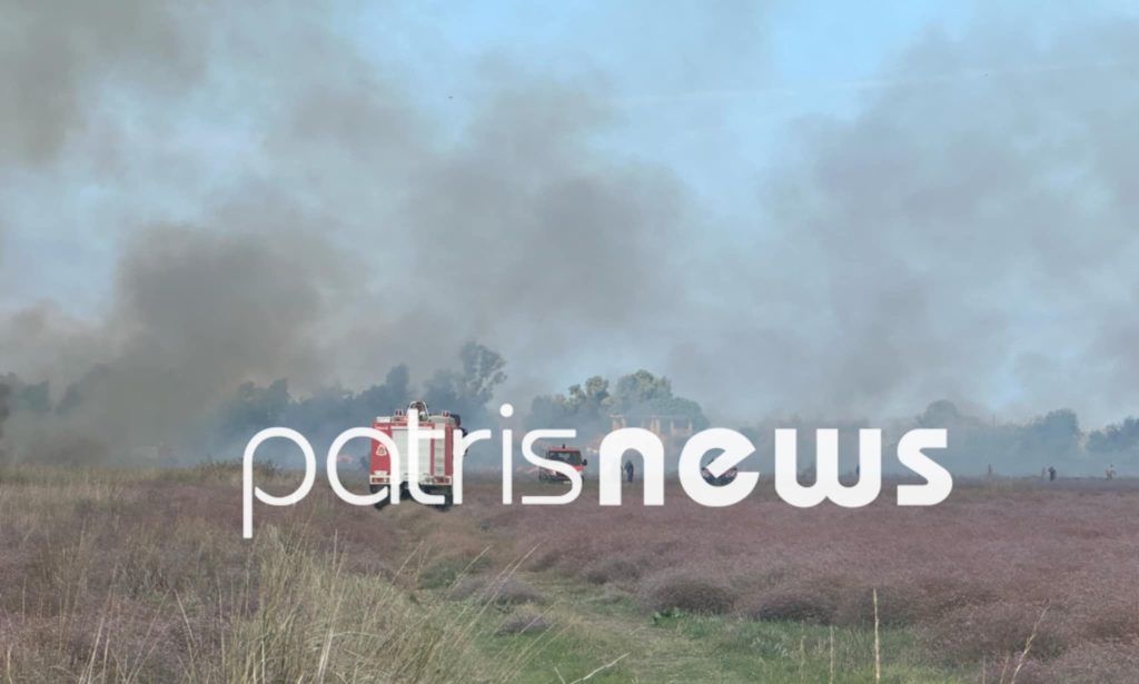 Φωτιά στην περιοχή Μπρίνια Μανωλάδας με επιχείρηση της πυροσβεστικής