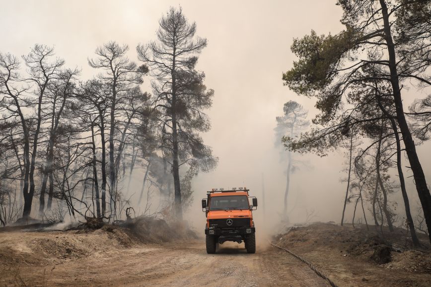 Φωτιά σε δασική περιοχή στην Κω με κινητοποίηση πυροσβεστικών δυνάμεων