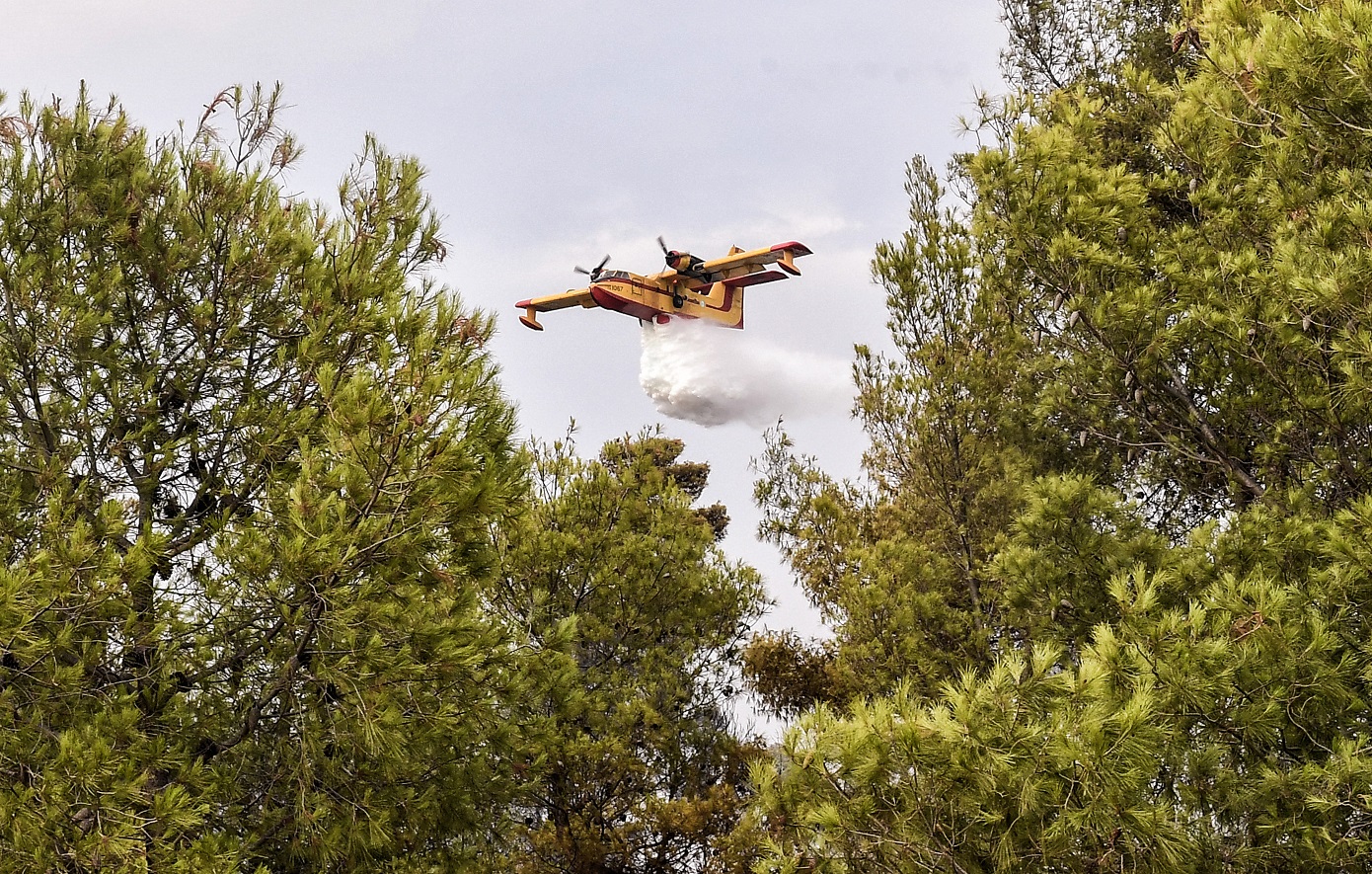 Φωτιά στην αγροτοδασική έκταση στην Κοκκινόβραχο Φθιώτιδας με μεγάλη κινητοποίηση πυροσβεστικών δυνάμεων