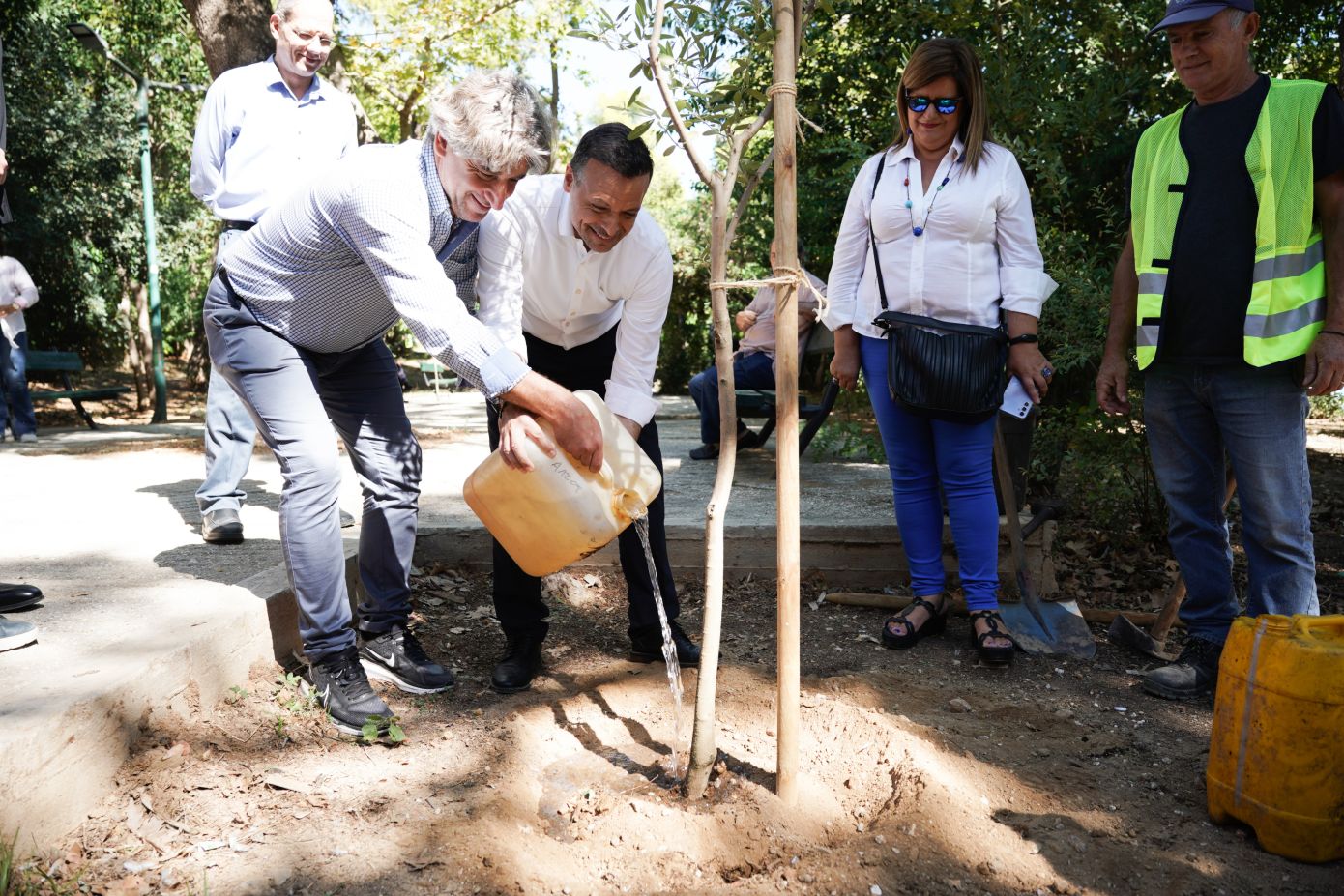 Φύτευση Νέων Δέντρων στην Αθήνα για μια Πιο Πράσινη Πόλη